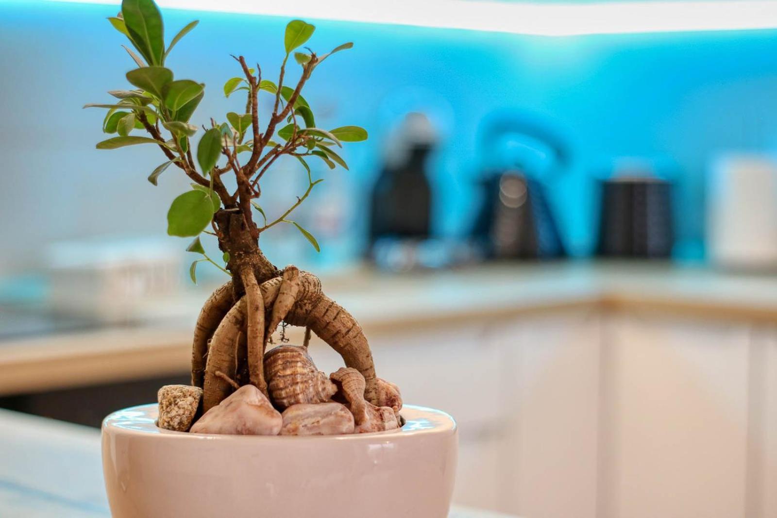 בוקרשט Relaxation Station - My Charming, Cosy&Inviting Apt - Smart Thermostat - Private Parking - Ior Park - Long Term Price Cuts מראה חיצוני תמונה